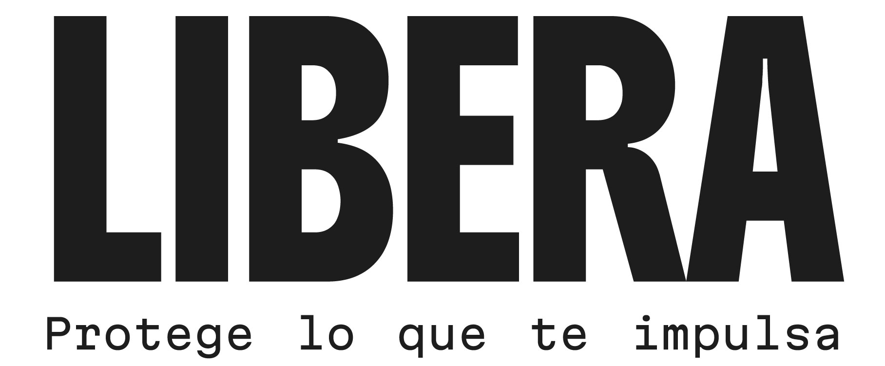 Libera Perú | Fundas para laptops y Neceseres